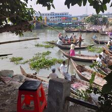 ショドル ガット