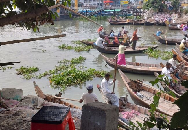 ショドル ガット