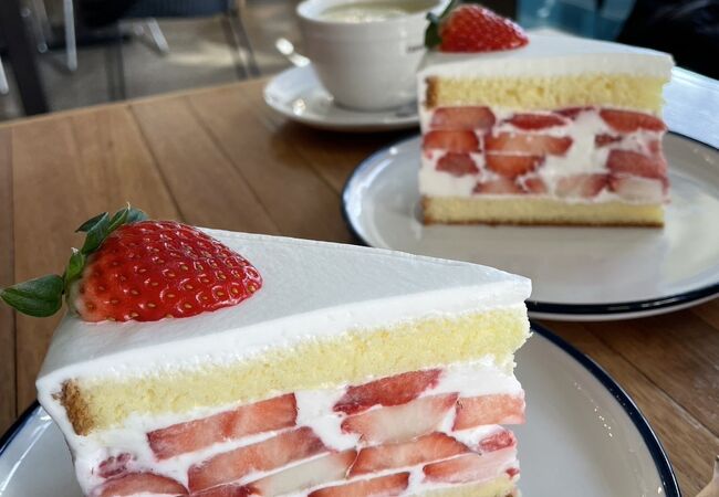 新設洞駅近くのカフェでいちごケーキ