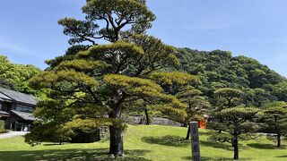 手入れの行き届いた庭園
