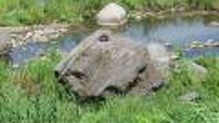 千曲川の川原に残っています