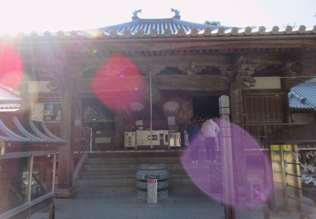 「三鈷の松」って、本当に松の葉が三葉になっていました