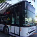 台南付近の路線バスは、もしかしたら、時刻表に忠実なのでしょうか？