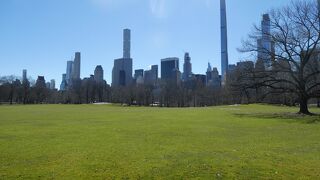 大都会にある広大な公園