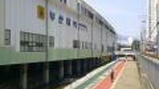 駅のすぐ傍をサイクリングロードが通じています