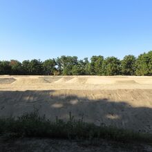 真横から見てもよくわかりません