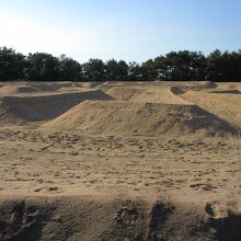 真下から見てもよくわかりません