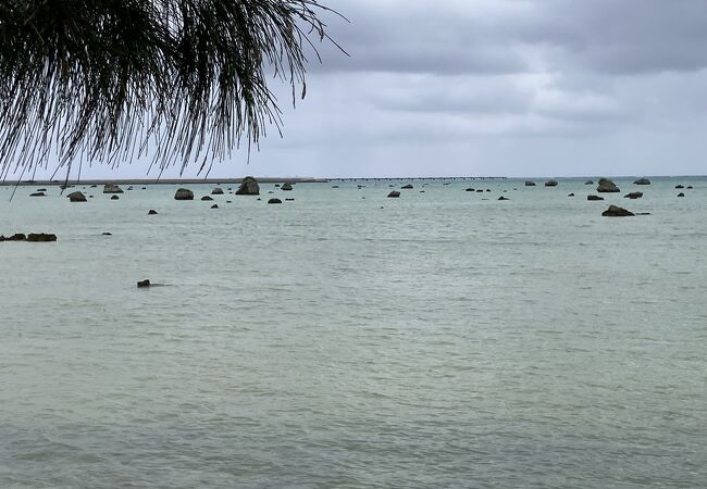 佐和田の浜