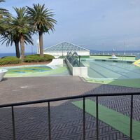 夏季限定プール