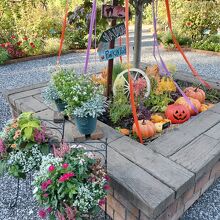 ハロウィンもかわいい