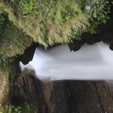 パタレ チャンゴ　（デヴィス フォール）