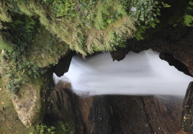 パタレ チャンゴ　（デヴィス フォール）