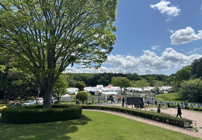 笠間の陶炎祭(ひまつり)