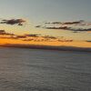 タウランガ沖の南太平洋でイルカ