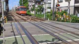 なんかお洒落になりましたね～