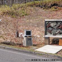 ナウマン象発掘の地 