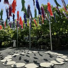 鯉のぼりアートが美しいです！影がいい感じです！