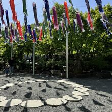 鯉のぼりアートが美しいです！影が泳いでいるような感じで良いで