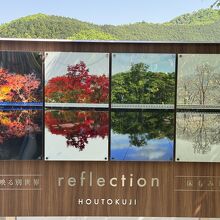 四季の床もみじ