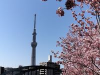 旧中川水辺公園