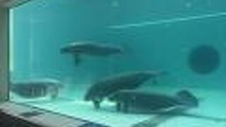 無料で見学できました