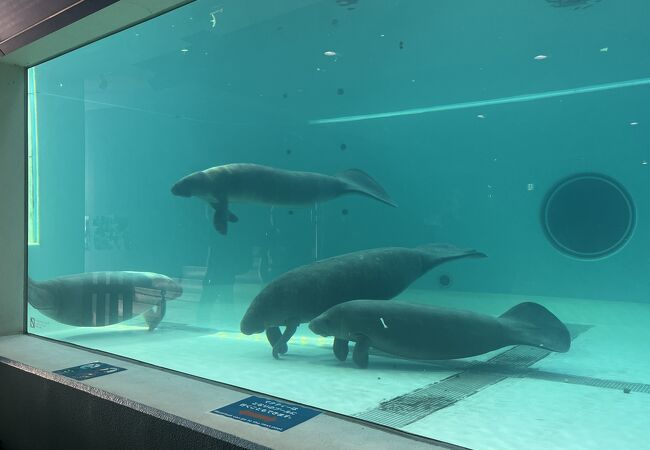 無料で見学できました