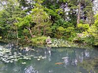清水邸庭園