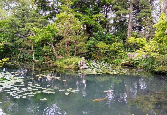 江戸時代に回船問屋で栄えた名家、清水家の庭園です。