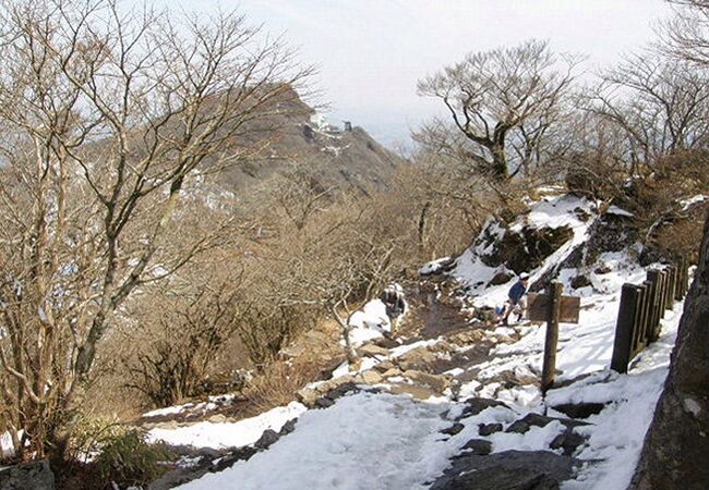 筑波山頂カタクリの里特別開放