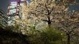 良いエリアだなあ