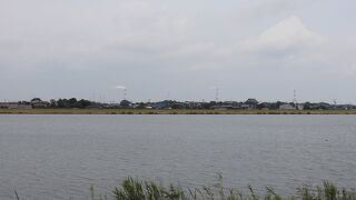 コウノトリが見られました。