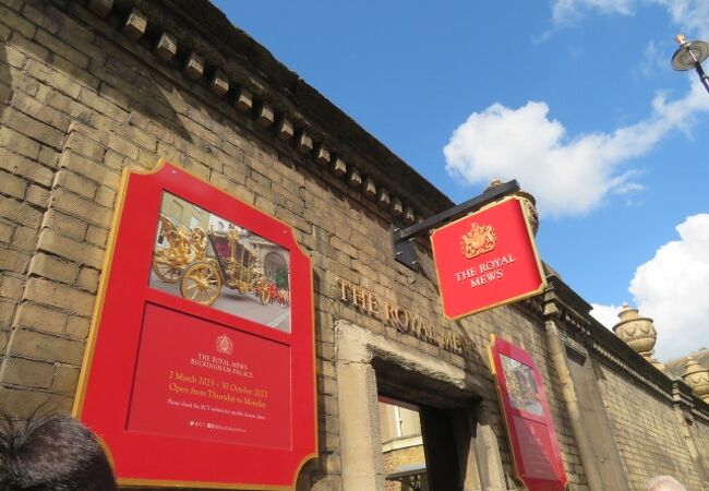 ロイヤル ミューズ