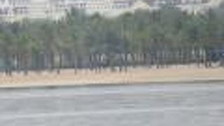 寂しいビーチでした