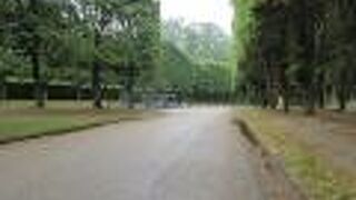 宮殿からも見えます