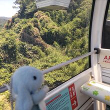 景色が良いです