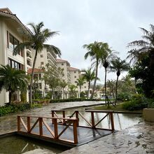 南国ムードいっぱいの庭からの眺め