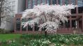 ガルスアンラーゲ公園