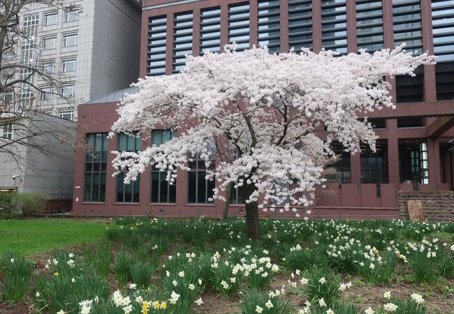 ガルスアンラーゲ公園