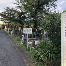 染井霊園