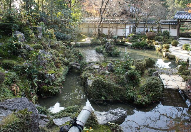 西明寺庭園(蓬来庭) クチコミ・アクセス・営業時間｜湖東三山