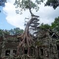 巨大樹木に呑み込まれた寺院跡。スコールに見舞われたがそれでも美しい