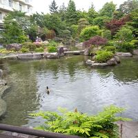 鴨・鯉がいる本庭園。左側に足湯があります。