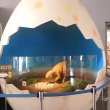 恐竜の卵展示