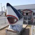 鮫のオブジェがありました