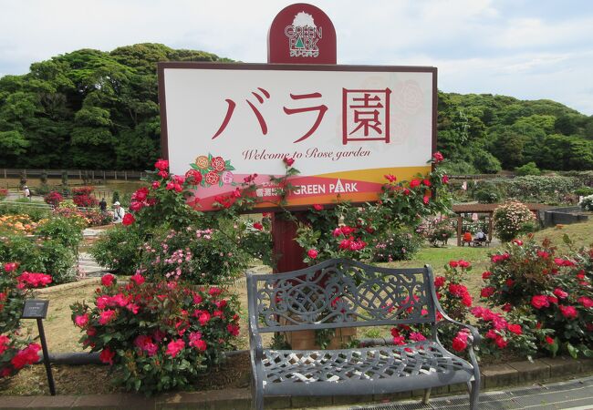 グリーンパーク