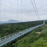 三島スカイウォーク | 伊豆観光情報