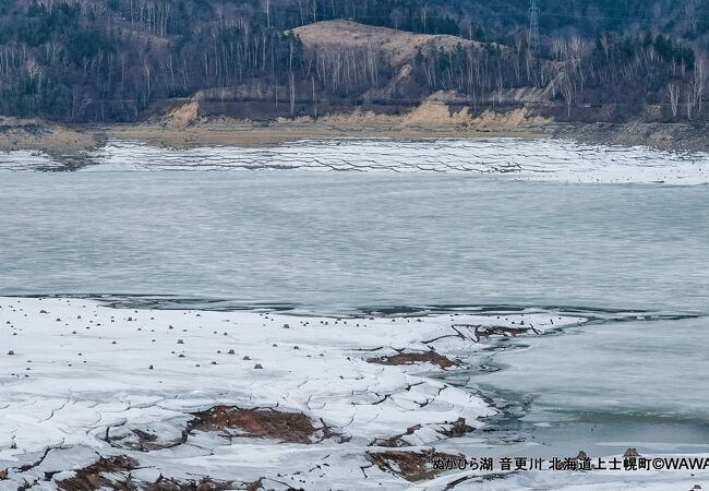 糠平湖 の表面は大方凍ったままの様でした