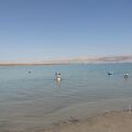 死海の北部にあるビーチです。