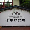 大人気