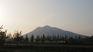 弘前りんご花まつり